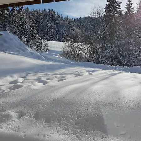Raiches 2 - Aravis Holidays Apartment